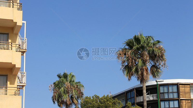 军事夏令营定价背后的行业逻辑